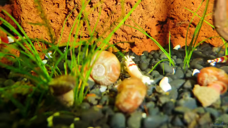 13.11.2012 von Walde (104)