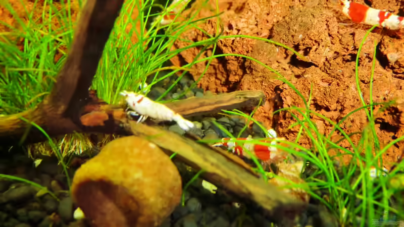 13.11.2012 von Walde (105)