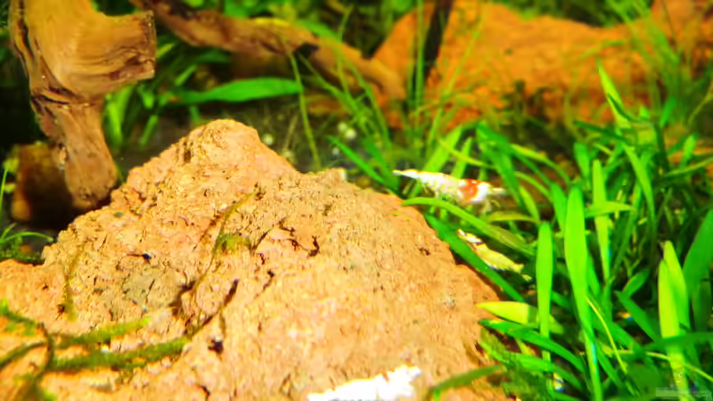 13.11.2012 von Walde (108)