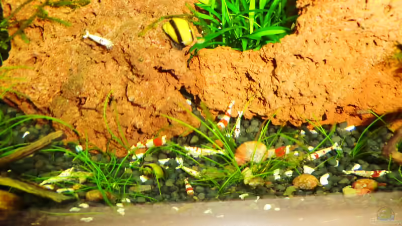 13.11.2012 von Walde (113)