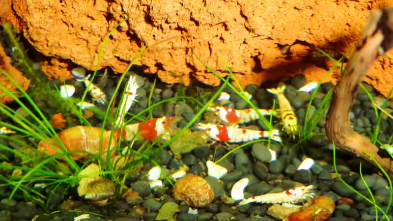 13.11.2012 von Walde (114)