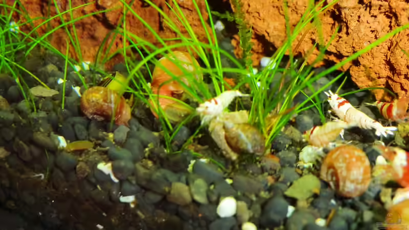 13.11.2012 von Walde (117)