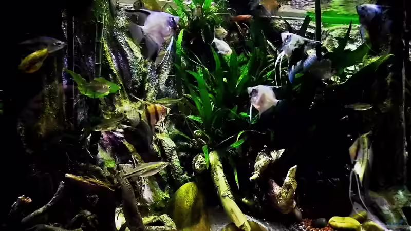 13.11.2013 von snooze (112)