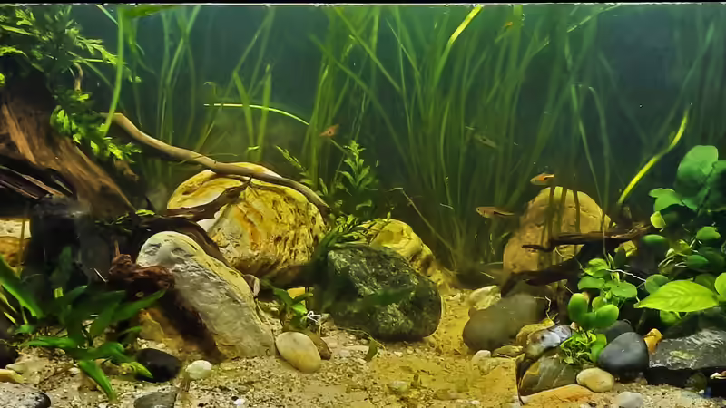 13.11.2021 von okefenokee (37)