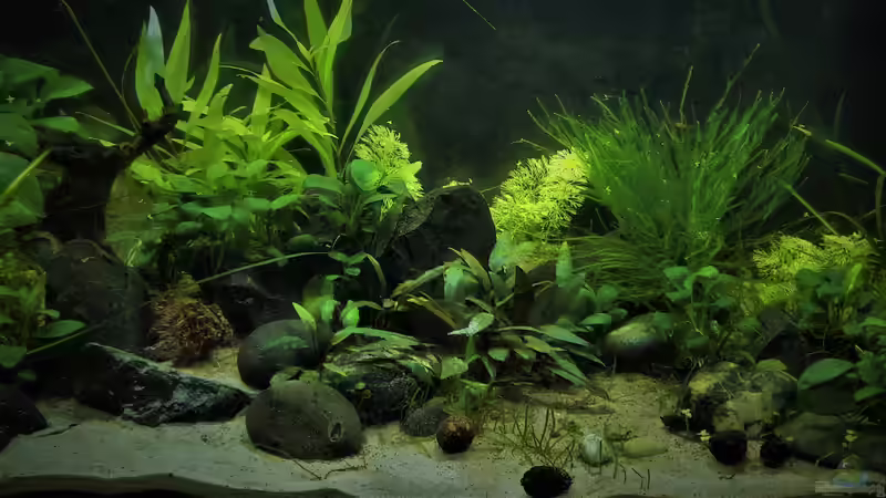 13.11.2021 von okefenokee (39)