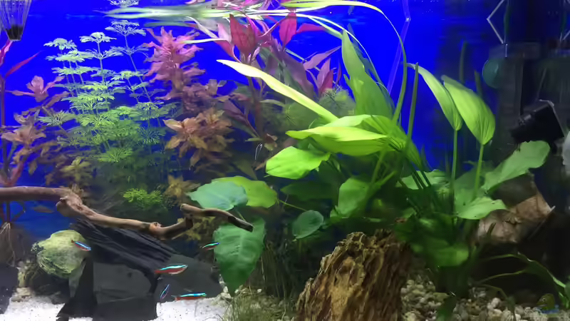 13.12.15 von .Andreas. (22)