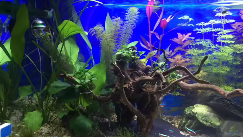 13.12.15 von .Andreas. (23)