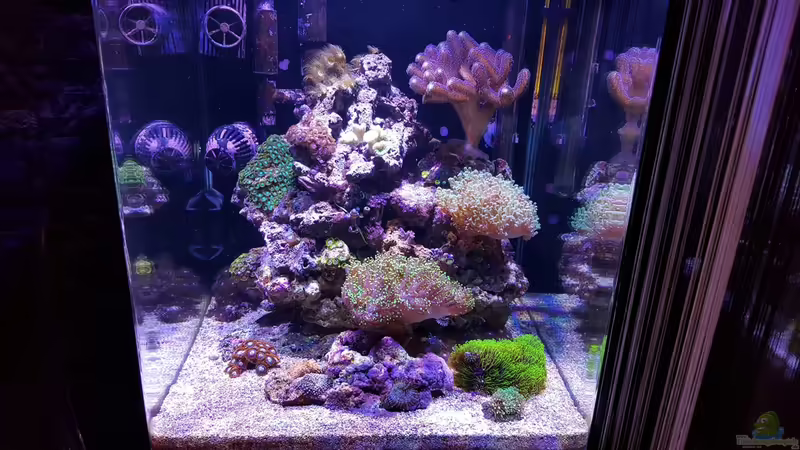 13.12.2015 von BenoN (1)