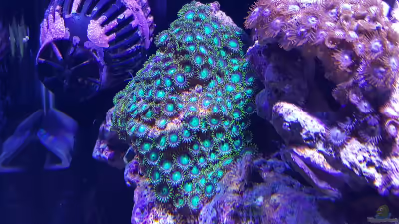 13.12.2015 von BenoN (21)