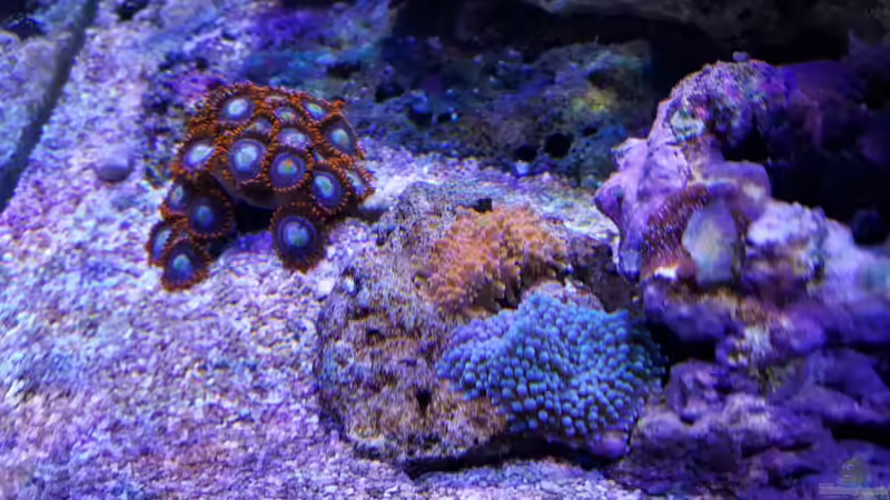 13.12.2015 von BenoN (22)