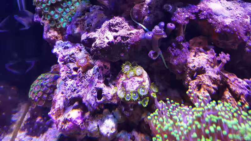 13.12.2015 von BenoN (23)