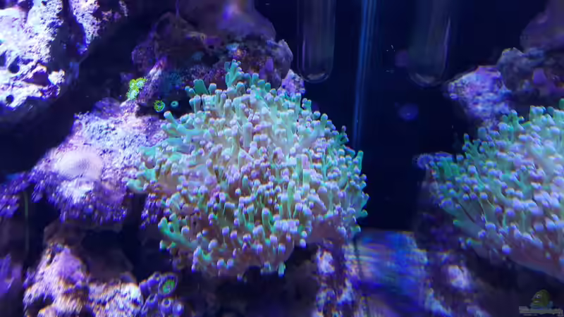 13.12.2015 von BenoN (24)