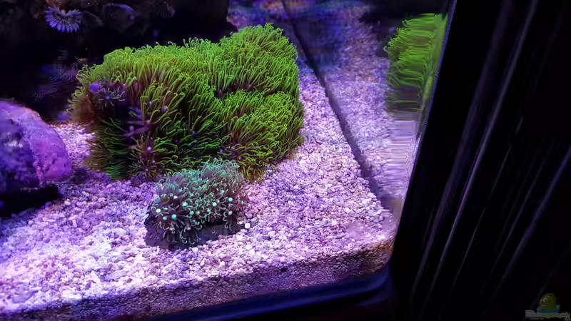 13.12.2015 von BenoN (25)