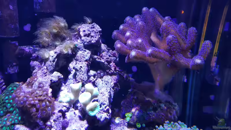 13.12.2015 von BenoN (26)