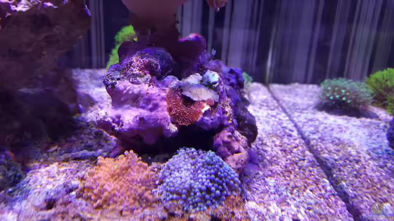 13.12.2015 von BenoN (28)