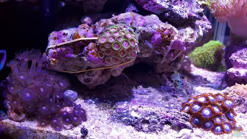 13.12.2015 von BenoN (29)