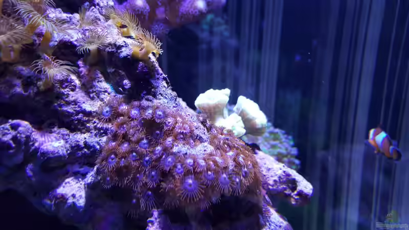 13.12.2015 von BenoN (30)