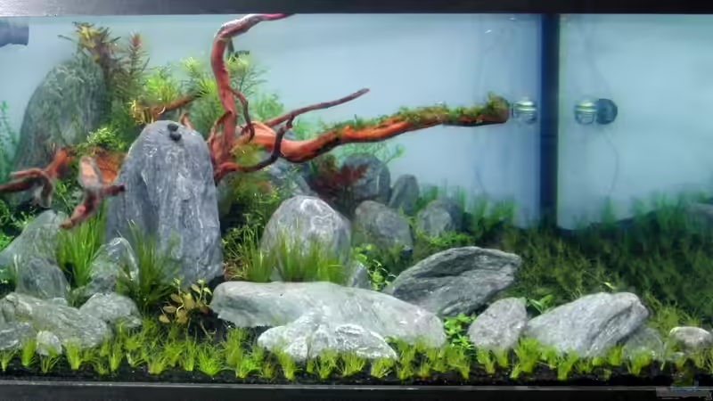 13.3.13 von Bjarke (2)