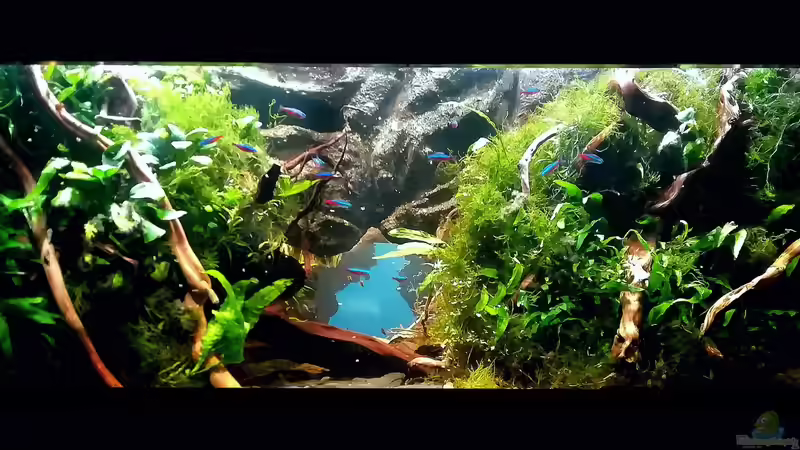 13.4.2020 von Bermuda 3eck (2)