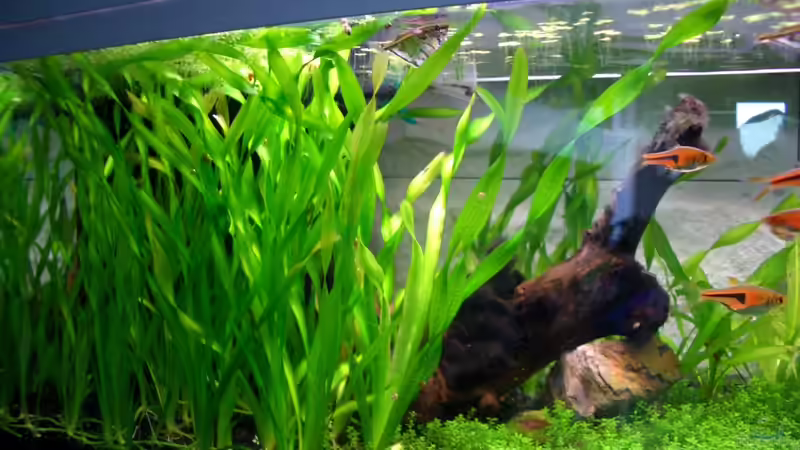 13.5.10 von navigator1 (16)