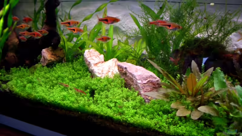 13.5.10 von navigator1 (32)