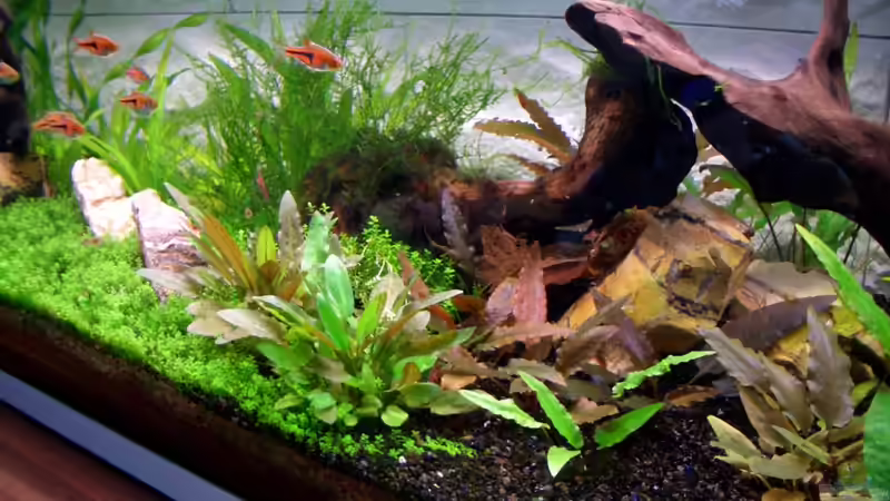 13.5.10 von navigator1 (33)