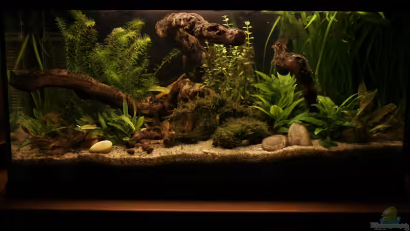 13.5.12 von Andrea Rüter (1)