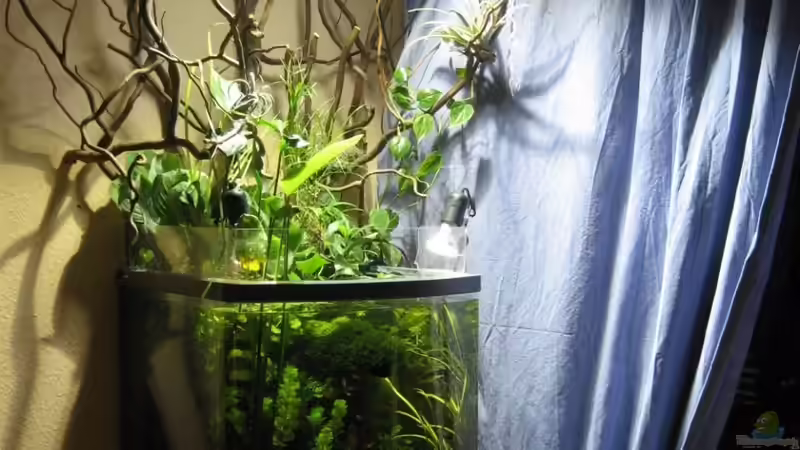 13.März 2011 von Bojo (8)