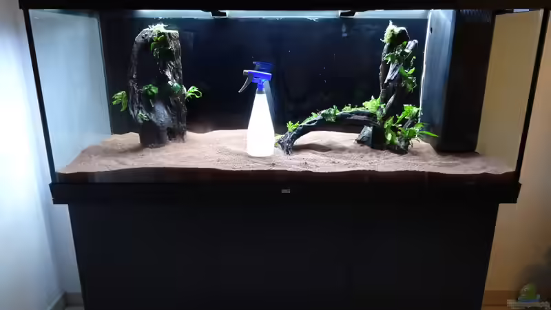 14.) Wurzeln eingesetzt und Garnelenkies eingebracht von coachdriver_uwe (15)