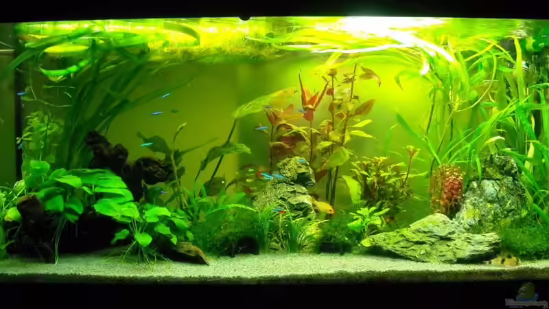 14.01.10 von Fabian Ber (9)