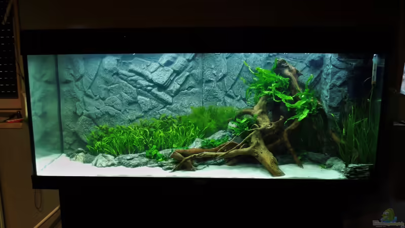 14.01.16 von Jah Gaid (5)