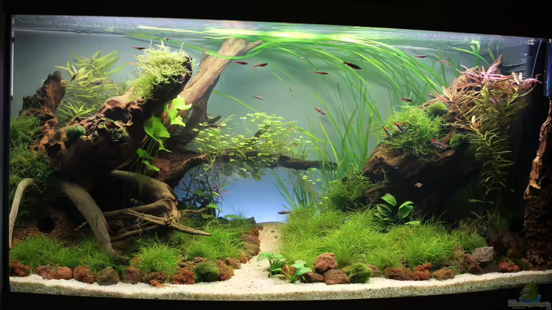 14.01.2014 von GIDDI (5)