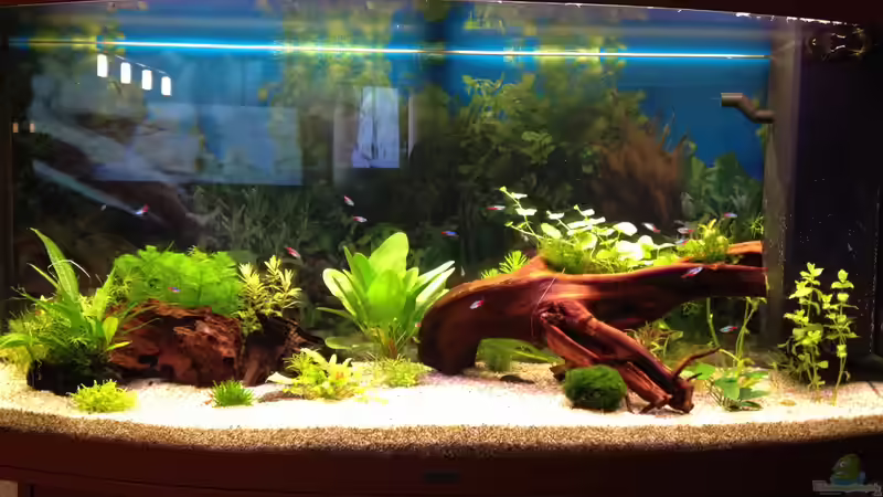 14.01.2014 von Oskar (3)