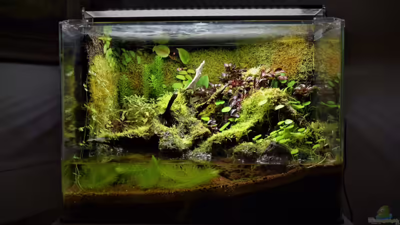 14.01.2019 von Junglist (1)