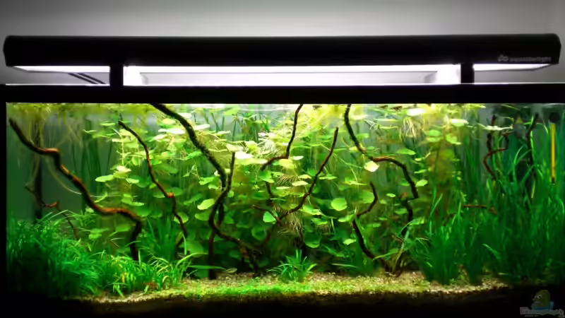 14.02.07 von HerrVorragend (1)