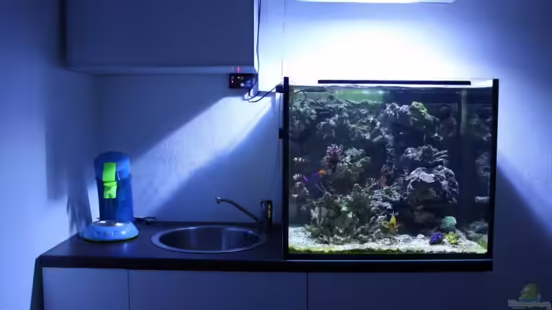 14.02.2009 von Stephan Ascher (14)