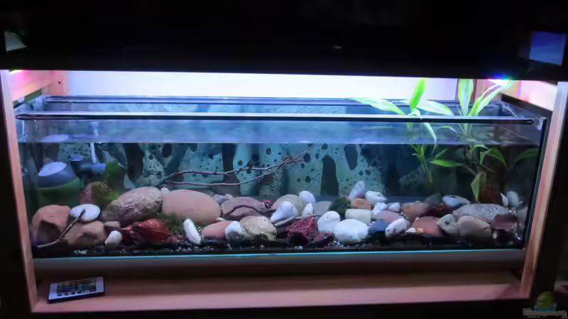 14.02.2015 von Joni_99 (2)