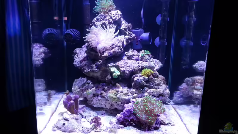 14.03.2015 von BenoN (6)