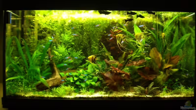 14.04.09 von Jumper (3)