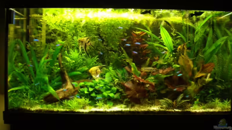 14.04.09 von Jumper (5)