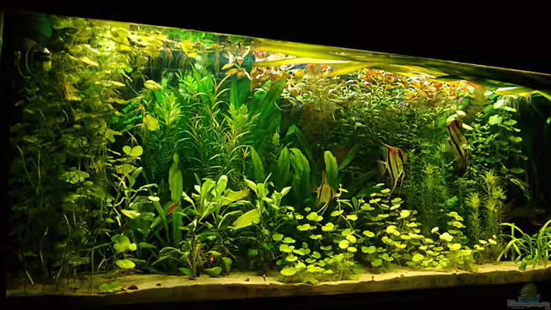 14.04.09 von Mario74 (9)