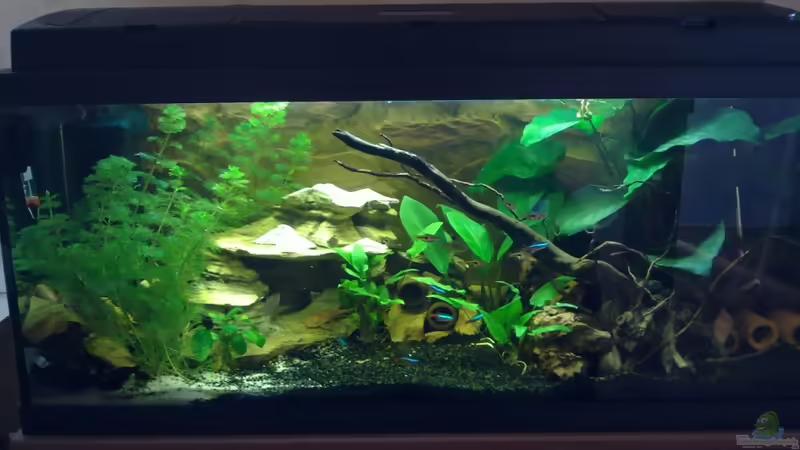 14.04.2011 von Koehler (3)