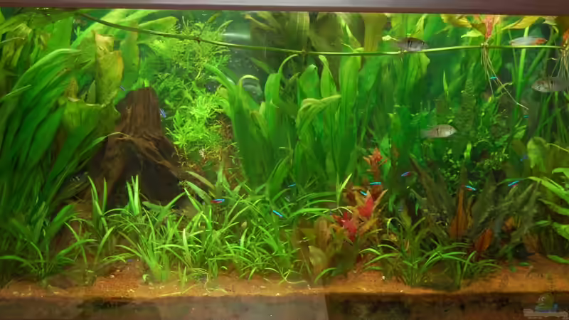 14.04.2012 von Jan16 (12)