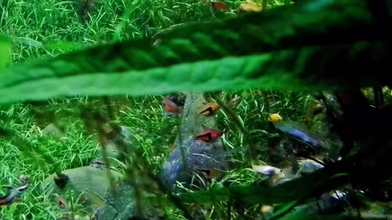 14.04.2013 von snooze (18)