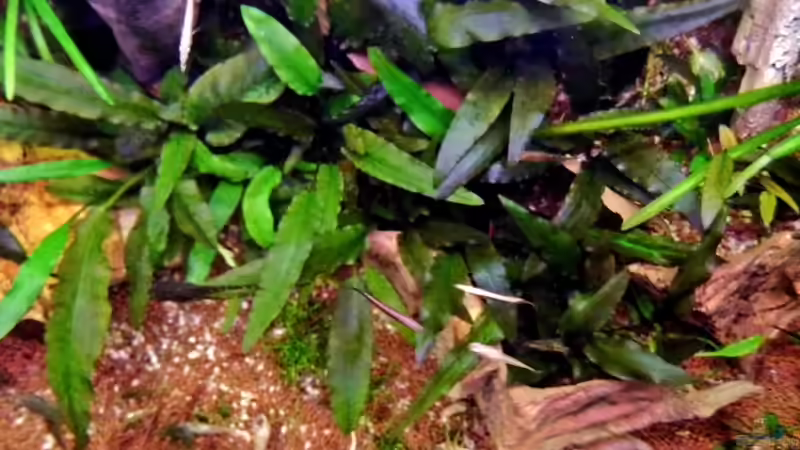 14.04.2013 von snooze (36)