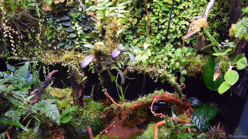 14.04.2017 von Junglist (16)