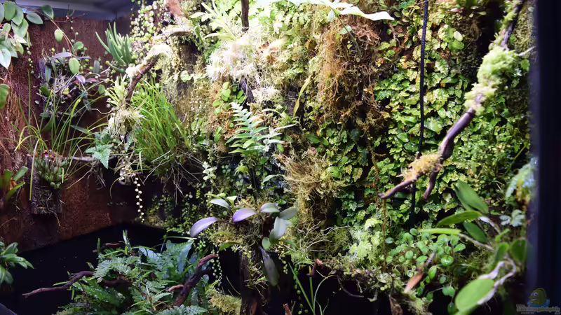 14.04.2017 von Junglist (17)