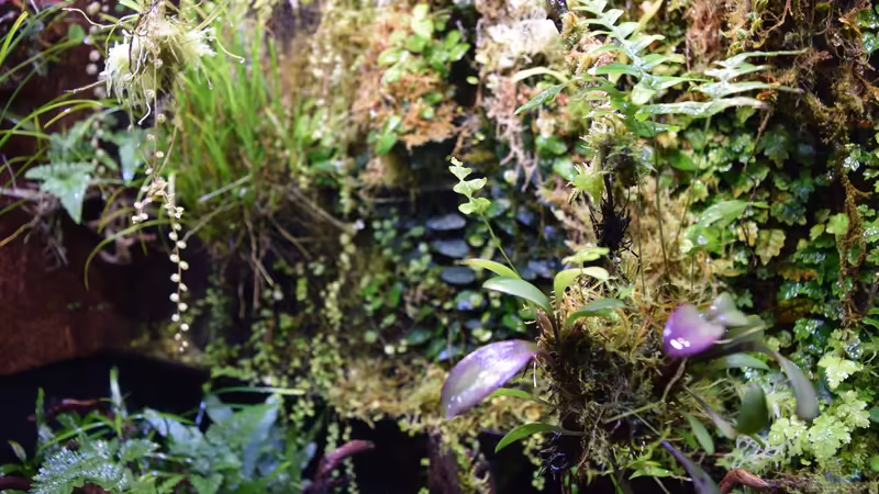 14.04.2017 von Junglist (18)