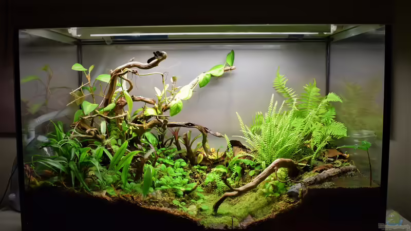 14.04.2019 von Junglist (9)