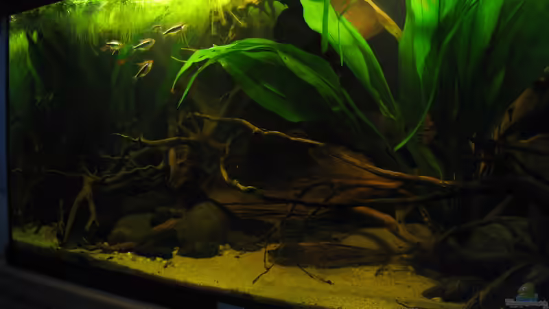 14.05.15 von Jemafa (11)